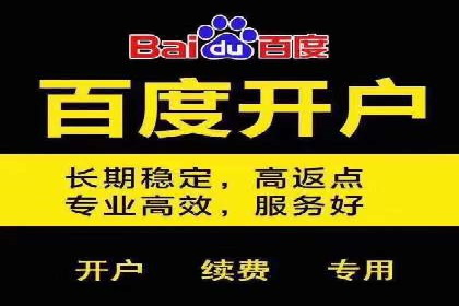 行业揭秘：百度竞价广告的优化技巧与案例